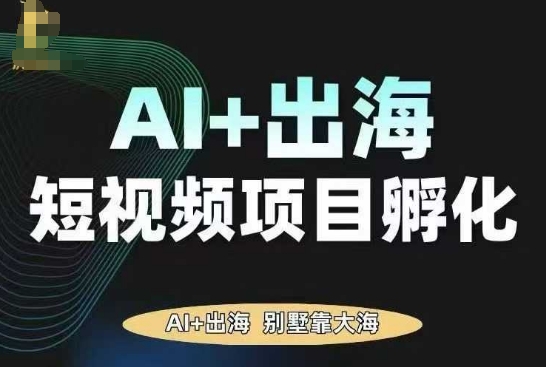 AI·TikTok AI+出海短视频项目孵化，陪你从0-1借助AI实现出海变现-九才资源网
