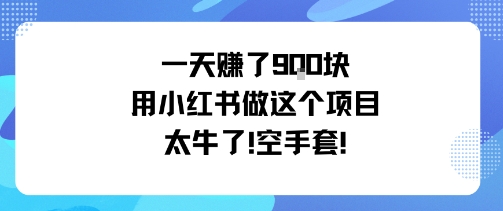 一天挣了9张用小红书做这个项目太牛了，空手套-九才资源网