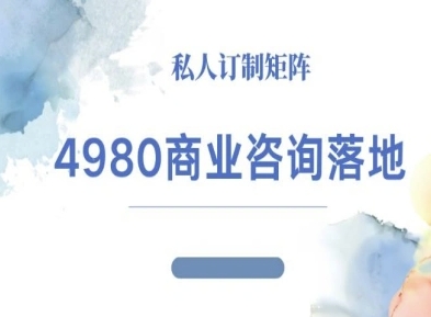 4980商业咨询师落地课程-ip运营高客单教程-九才资源网