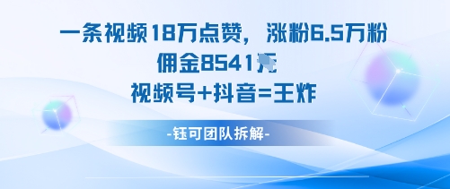 一条视频18W点赞，涨粉6.5W粉佣金8541米，视频号+抖音=王炸-九才资源网