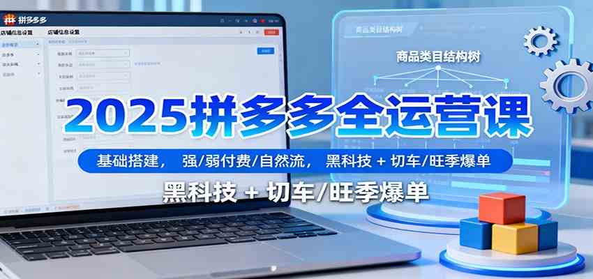 2025拼多多全运营课：基础搭建，强/弱付费/自然流，黑科技 + 切车/旺季爆单-九才资源网
