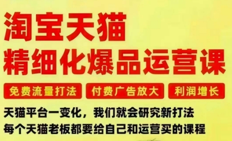 淘宝天猫精细化爆品运营课，免费流量打法-付费广告放大-利润增长-三大核心痛点，一次全部解决-九才资源网