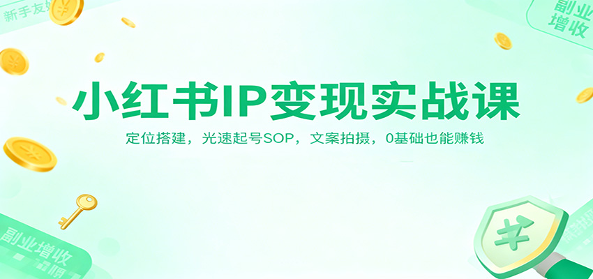 小红书IP变现实战课：定位搭建，光速起号SOP，文案拍摄，0基础也能赚钱-九才资源网