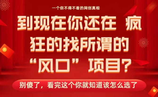 马上26年了，你还在找所谓的风口项目？别傻了，看完这个你全都懂了！【揭秘】-九才资源网