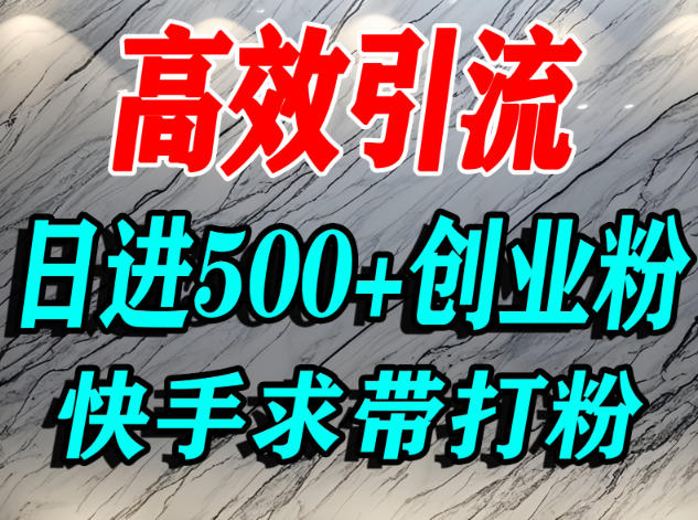 怎么打创业粉？快手求带视角精准引流创业粉，宝妈、学生群体日进500+精准流量-九才资源网
