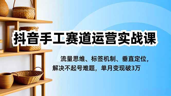 （16667期）抖音手工赛道运营实战课，流量思维、标签机制、垂直定位，解决不起号难题，单月变现破3万-九才资源网