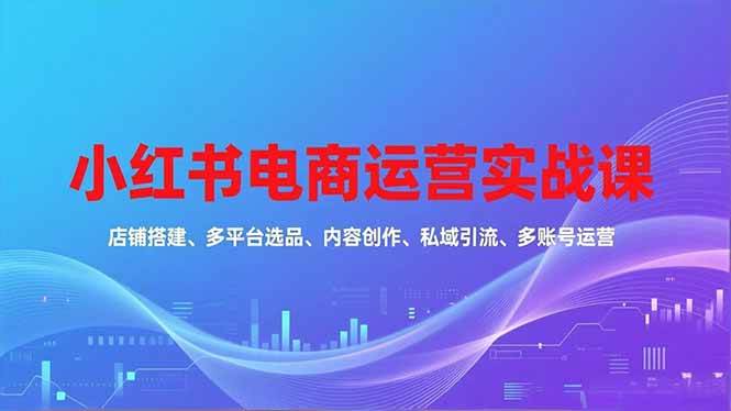 （16695期）小红书电商运营实战课，店铺搭建、多平台选品、内容创作、私域引流、多账号运营等玩法-九才资源网