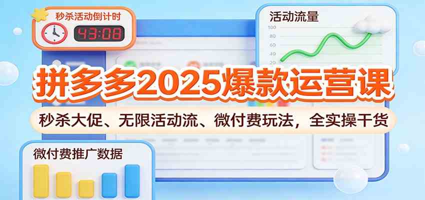 拼多多2025爆款运营课：秒杀大促、无限活动流、微付费玩法，全实操干货-九才资源网