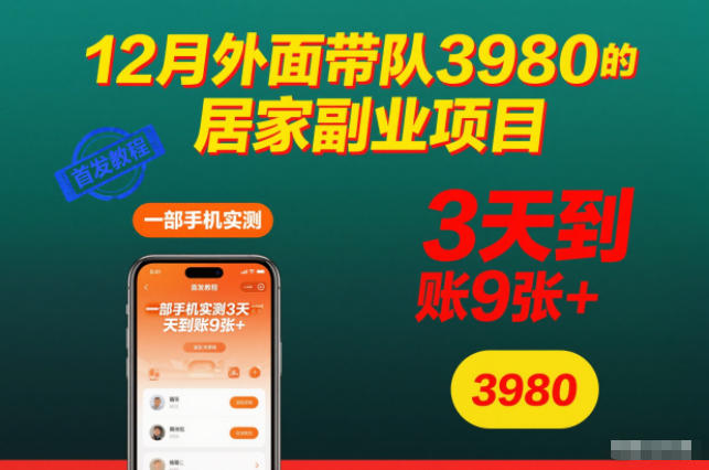 12月外面带队3980的居家副业项目，一部手机实测3天到账9张+，首发教程【揭秘】-九才资源网