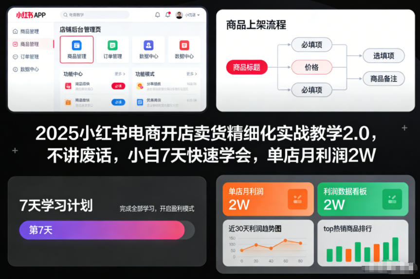 2025小红书电商开店卖货精细化实战教学2.0，不讲废话，小白7天快速学会，单店月利润2W-九才资源网