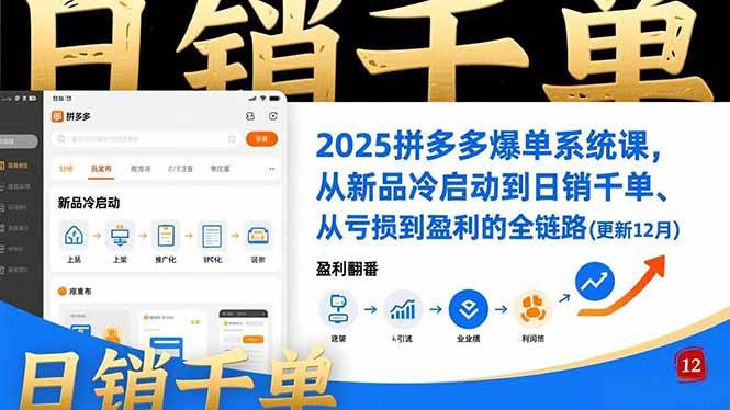 （16894期）2025拼多多爆单系统课，从新品冷启动到日销千单、从亏损到盈利的全链路（更新12月）-九才资源网