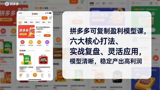 （16952期）拼多多可复制盈利模型课，六大核心打法、实战复盘、灵活应用，模型清晰，稳定产出高利润-九才资源网