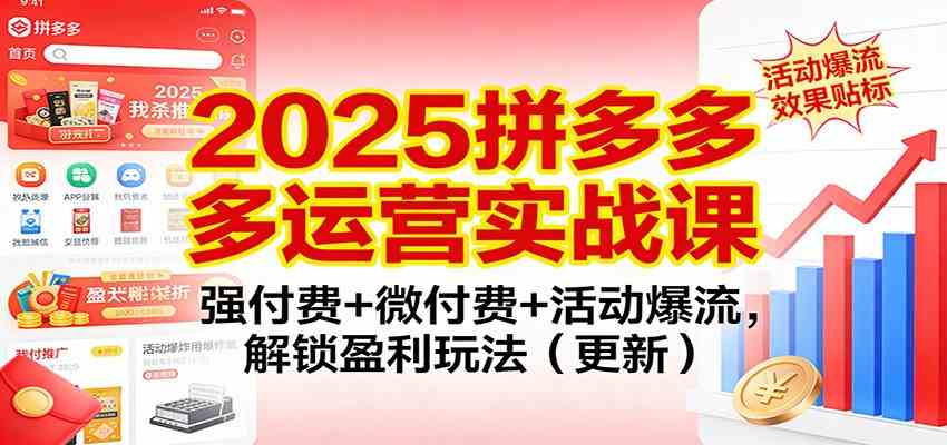 2025拼多多运营实战课：强付费+微付费+活动爆流，解锁盈利玩法（更新）-九才资源网