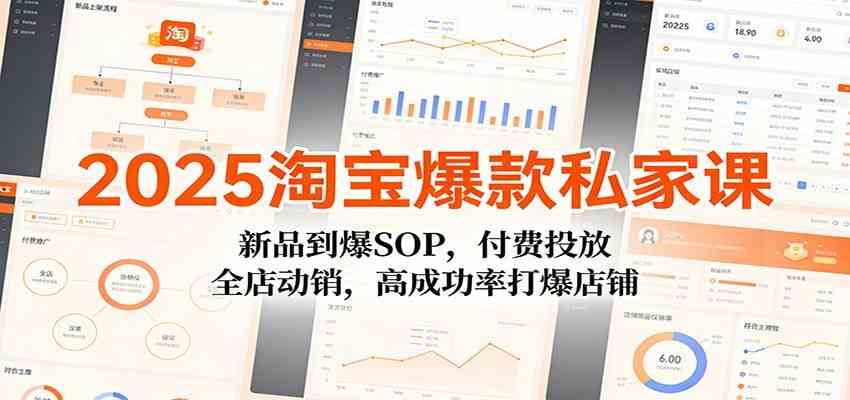 2025淘宝爆款私家课：新品到爆SOP，付费投放，全店动销，高成功率打爆店铺-九才资源网