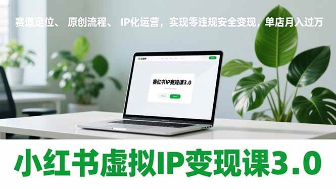 （17029期）小红书虚拟IP变现课3.0，赛道定位、原创流程、IP化运营，实现零违规安全变现，单店月入过万-九才资源网