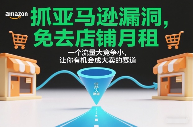 抓亚马逊漏洞，免去店铺月租，一个流量大竞争小，让你有机会成大卖的赛道-九才资源网