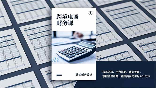 （17036期）跨境电商财务课，核算逻辑、平台规则、账务处理，掌握全盘账务，胜任高薪岗位月入1.5万+-九才资源网