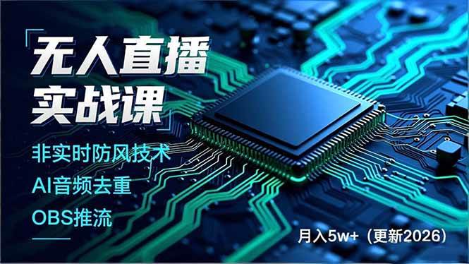 （17113期）无人直播实战课，非实时防风技术、AI音频去重、OBS推流，建立技术壁垒，月入5w+（更新2026）-九才资源网