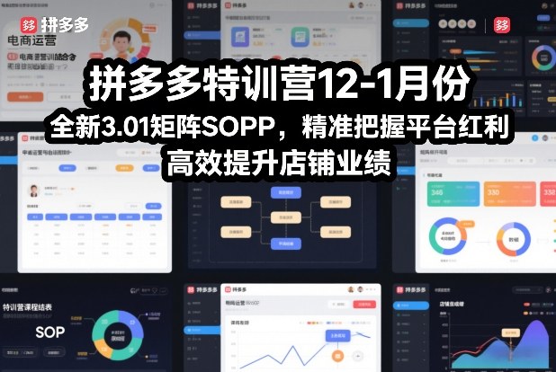拼多多特训营12-1月份，全新3.01矩阵Sop，精准把握平台红利，高效提升店铺业绩-九才资源网