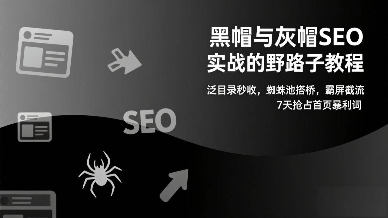 （17125期）黑帽与灰帽SEO实战的野路子教程：泛目录秒收，蜘蛛池搭桥，霸屏截流，7天抢占首页暴利词-九才资源网